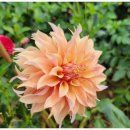 송준호농장 이미지