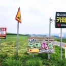 단아목장 이미지