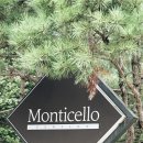 몬티첼로1 이미지