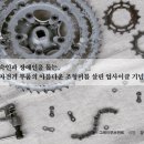 소셜챌린지