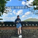 공중화장실(국궁장) | 밀양 가을 여행지 추천 금시당 유원지 백곡재