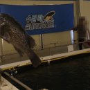 수원 락 실내바다 낚시터 이미지