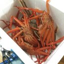 예뫼송동호바다 이미지