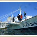 엘시엘로 이미지