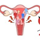 해뜨는 약국 이미지