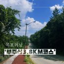 부주산국제클라이밍센터 | 목포러닝코스추천, 부주산3.8km(김대중마라톤준비)