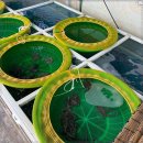 낙지골목주차장 이미지