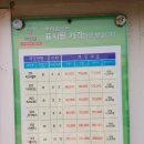 파인앤애플 펜션 이미지