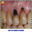 닥터손치과의원 이미지