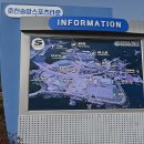 춘천 송암스포츠타운 풋살장 이미지