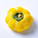 콩셰프 | 강릉 오션뷰 카페 정남미명과 수평선점 천하제빵 셰프의 구황작물빵 내돈내산 솔직후기