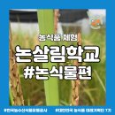 초정공동체 이미지