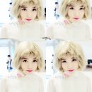 피자에땅 이미지