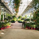 그린꽃식물원 이미지