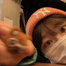 보f