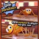 스푼게임즈 | 라쿠카라차 보드게임 SNS 화제 가족게임 크리스마스선물추천