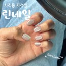 라임빌2 | 부산 사직동 네일샵 린네일, 자석젤 후기