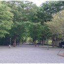 영월가자 펜션&캠핑장 이미지