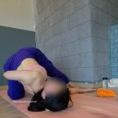 내몸에좋은호수약국 | 광교 요가 제대로 느끼고 온 토요일 수련, 상현역 카미요가 하타 90분 후기 | 수원주말요가