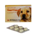 부천고강동물약국 이미지