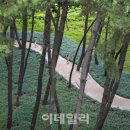 올댓콘텐츠