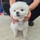 인월동물병원 이미지