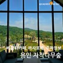 자작나무 펜션 이미지