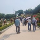 일육우보회 2025년 5월 부천시 도당산 백만송이장미원 탐춘 ＜후기＞ 이미지