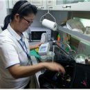 도봉-도봉-2131 이미지