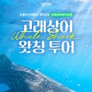 고래상어마켓