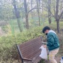 기안초교 이미지