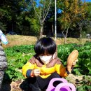 윤우농장 이미지