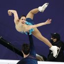 스텔라토 이미지