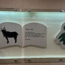 속리산 염소요리 전문점