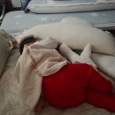 함안 말이산고분군 | 돌 전 아기랑 함안 말이산고분군 &amp; 함안박물관 여행 (아라가야 역사탐방)