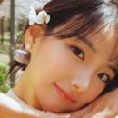 에코 153 이미지