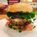 케이프유니스 이미지