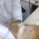 킴리동물병원 이미지