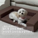 무스 | 말티푸 강아지 하우모리 펫베드 모카무스 후기❤️
