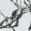 허한의원 이미지