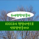 두메향한방꽃차 농업회사법인주식회사 이미지
