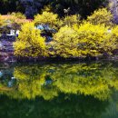 순리대로내몸건강 이미지