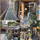21)06. 莊子장자 外篇외편 第21篇 田子方(전자방)(第06章)/합의문 검토,휴전 위반,일파만파,가미카제(자폭) 돌고래,해방일지,스타 이미지