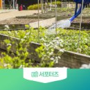 도시농업으로 힐링하기 이미지