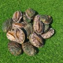 해광공구 이미지