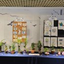 상모중학교 이미지