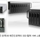 희망의 꽃 이미지