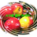 인풀