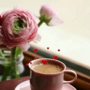 4월 석별惜別 / 未松 오보영 이미지