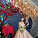 한국장애인문화강원도협회 태백시지부 | 베트남 국제결혼 서류 이제는 믿으세요!